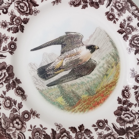 ❗Spode England Peregrine Falcon Brown Floral Rim Salad Plate 8"❗ - Picture 3 of 5